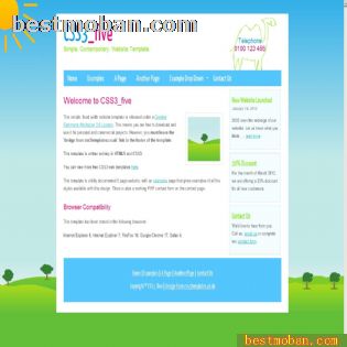 CSS3HTML5ҳ׼ģ