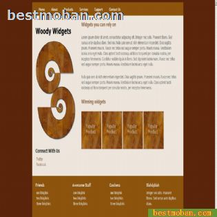 HTML5+CSS3ҳģ019