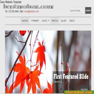 HTML5+CSS3ҳģ033
