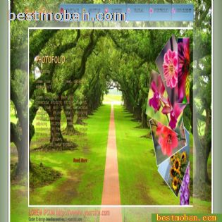 HTML5+CSS3ҳģ003